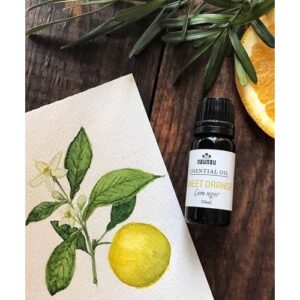 17430525411.jpg 17430525411.jpg