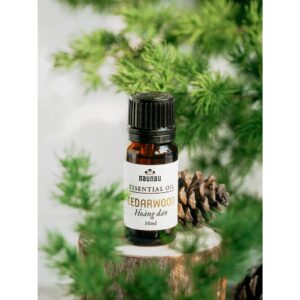 3294760878.jpg 3294760878.jpg