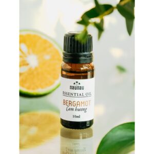 9978798195.jpg 9978798195.jpg